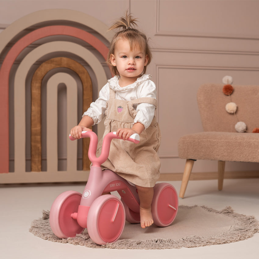 Mi Primera Bici Sunny de Lorelli  rosa– Diversión, Seguridad y Aprendizaje sobre Ruedas