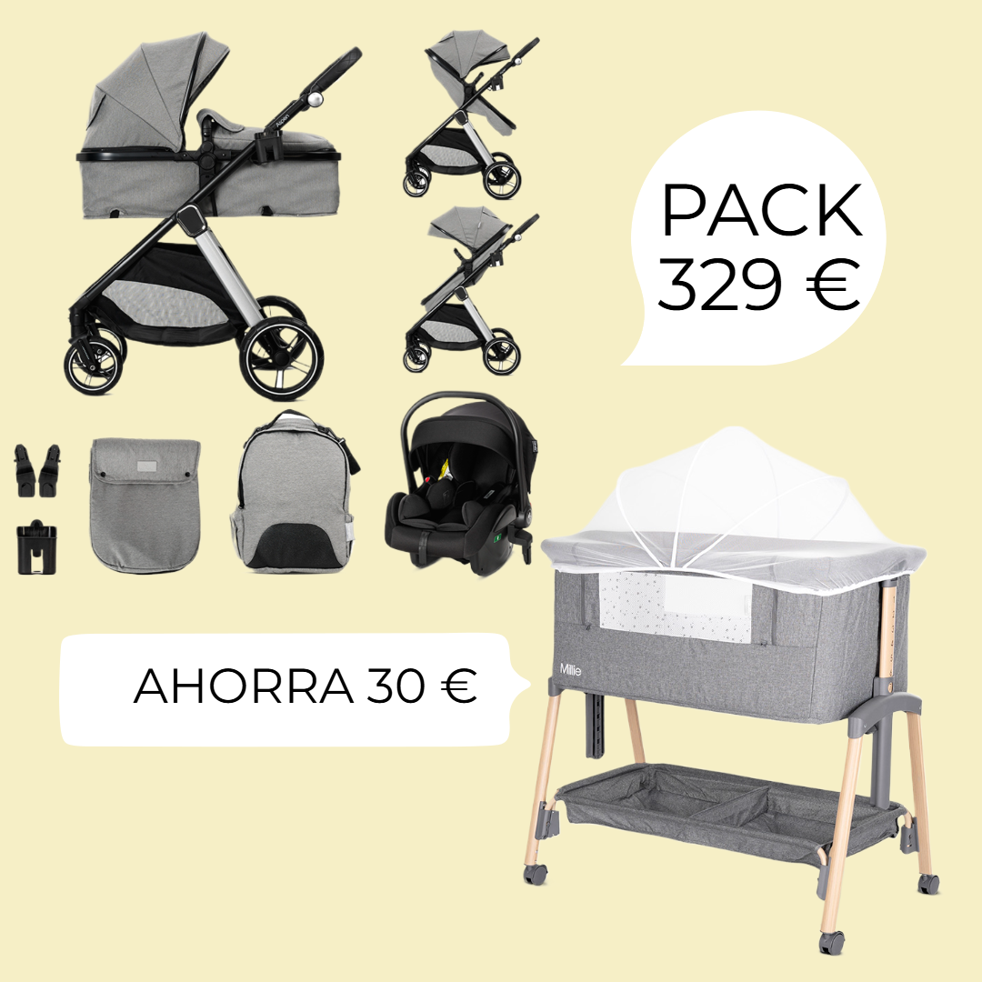Carro de bebe Aspen de Lorelli 3 en 1 Convertible gris + minicuna gris